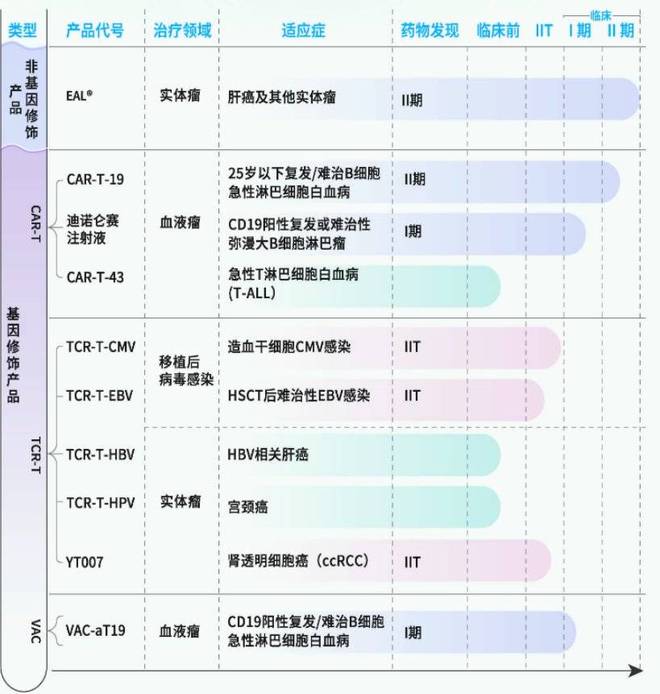 国产CAR-T进军实体瘤：解码管线布局与市场潜力